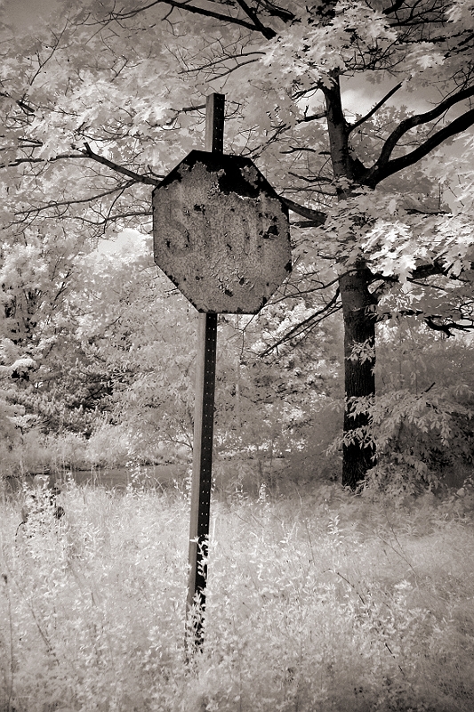 Decaying Stop Sign Wingdale, NY � Dave Hickey